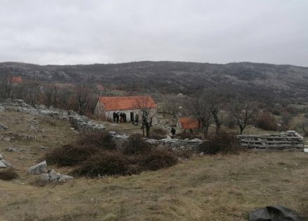 Hronika