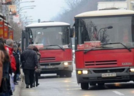 bus