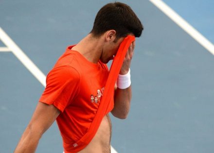 novak