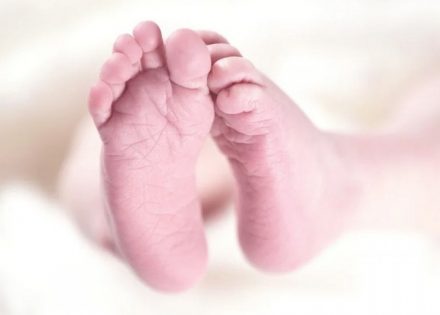 bebe