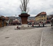 fbih