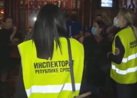 inspektori