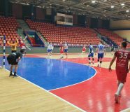Borac