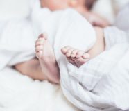 bebe