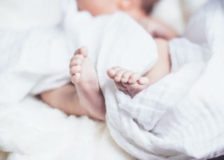 bebe