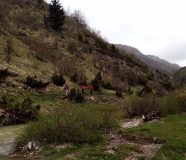 potraga