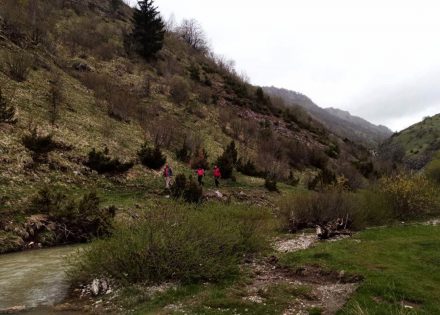 potraga