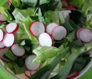 salata