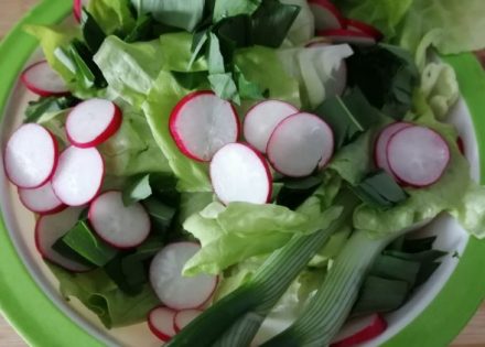 salata
