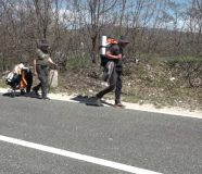 pjesice