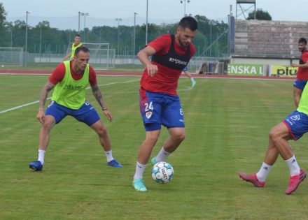 Borac