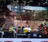 koncert