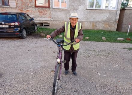 Vitalnost