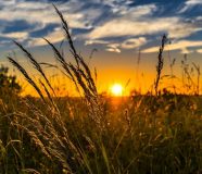 Zdravlje