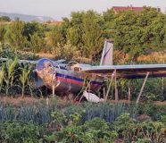 avion