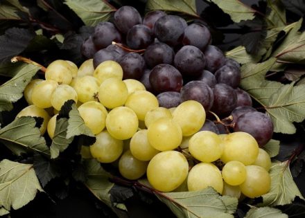 grožđe