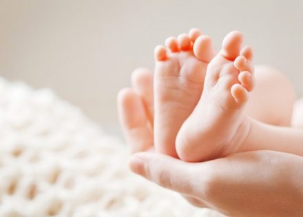 bebe
