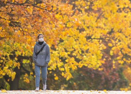 novembar