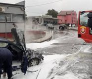 zapalio