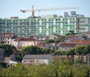 pula
