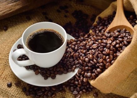 kafa