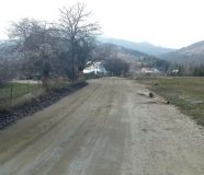 foča