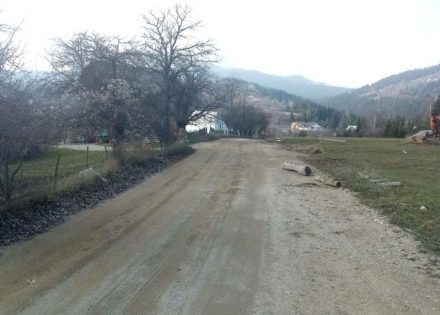 foča