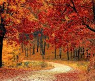 novembar