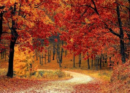 novembar