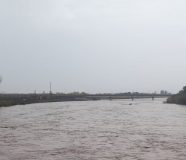 radnici