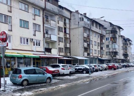 dubica