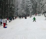 kozara