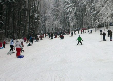 kozara