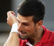 novak