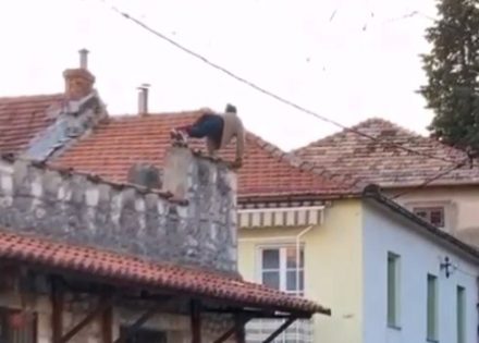 nesreca