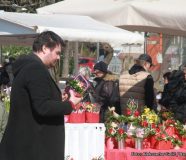 8. mart