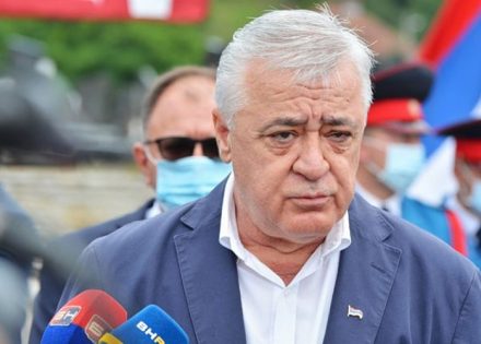 savčić