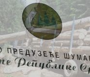 ŠUME