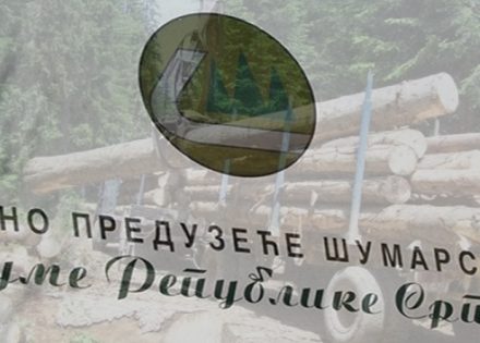 ŠUME