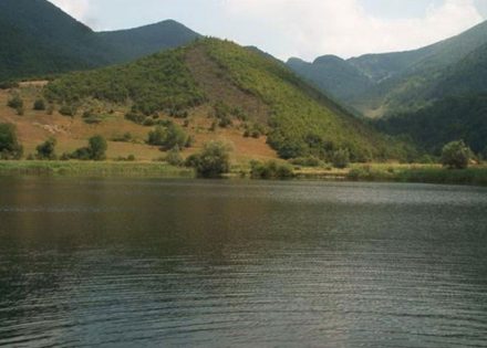 potraga