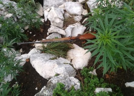 nevesinje