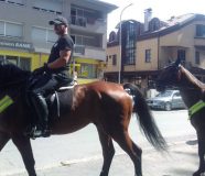 policija