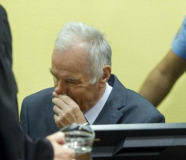 mladić