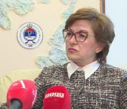 VIDOVIĆ