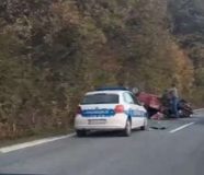 ribnik