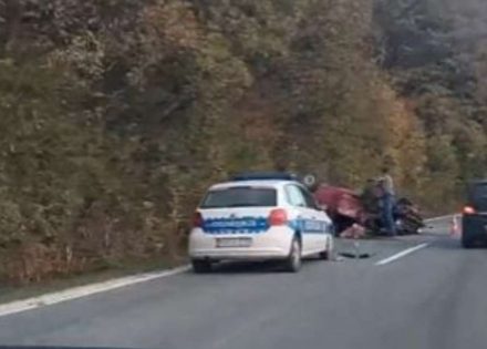 ribnik