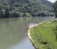 sava