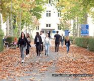 studenti
