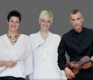 kamerni trio