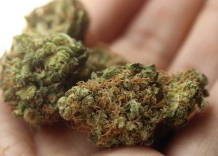 marihuana